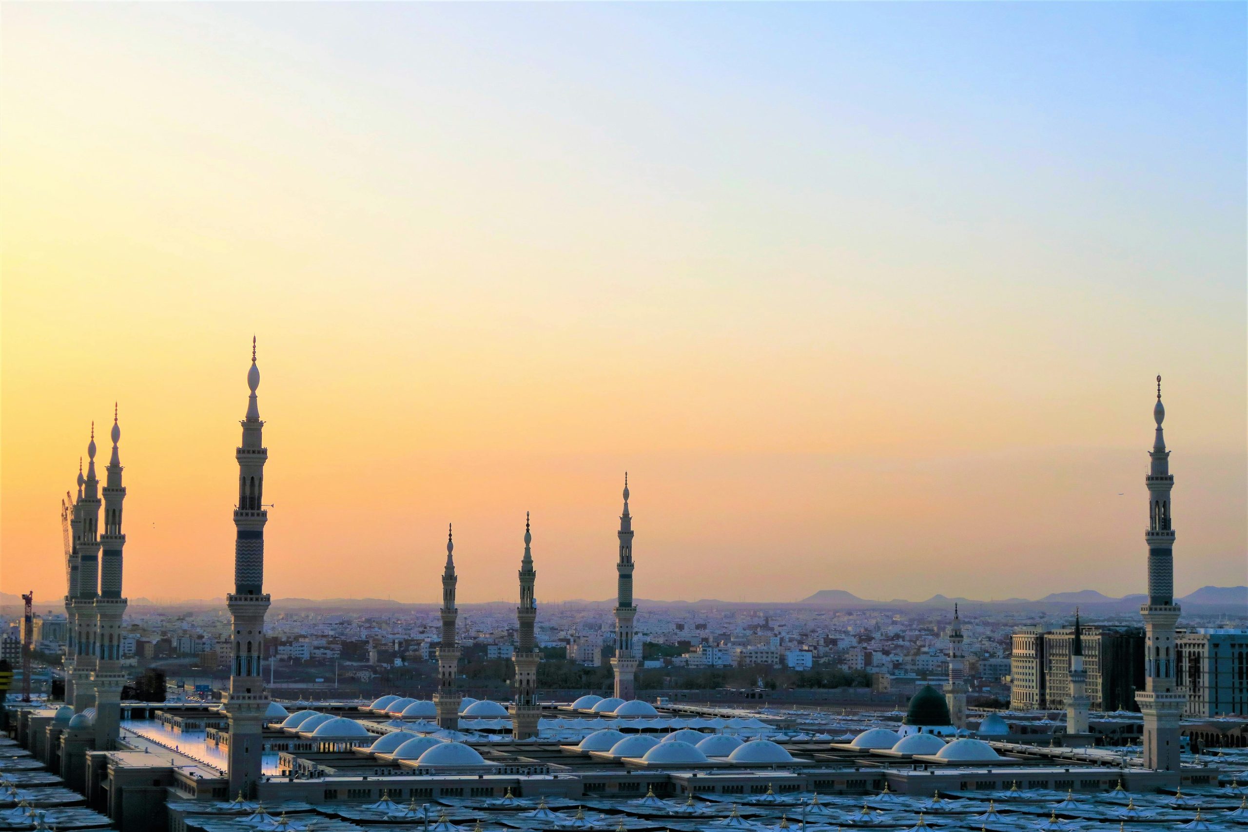 Why Students in Saudi Arabia Need Certified Translation for Studying Abroad