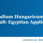 Stipendium Hungaricum 2027/28: Egyptian Applicant Guide